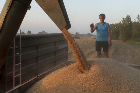 Grain harvest Kyiv region 450x300 IWer3r