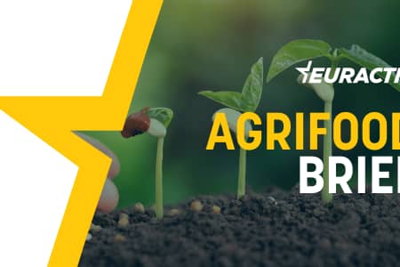 Agrifood Brief Hubs ARTICLE Header template please duplicate 450x300