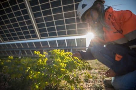 A net zero industry act fit for net zero: let’s shine a light on solar [Promoted content]