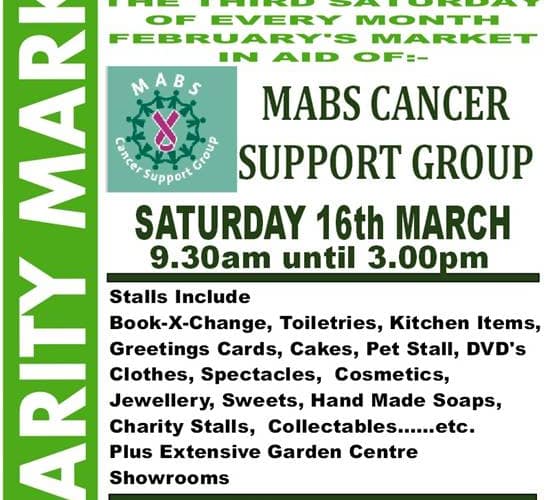 Iron Art Supports MABS CANCER SUPPORT GROUP